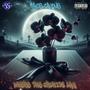 Where The Orchids Lay (Explicit)