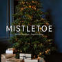 Mistletoe (feat. Pauline Garay)