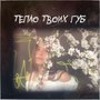 Тепло Твоих Губ (Prod. By PLUCK)