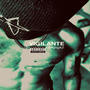 Vigilante (Explicit)