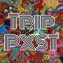 Trip