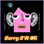 Sorry I'm Ok (Explicit)