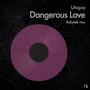 Dangerous Love - Single