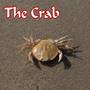 The Crab