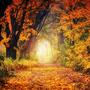 The Seasons, op. 37: X. October, Autumn Song (Explicit)