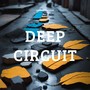 Deep Circuit