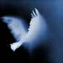 FLIGHT (Explicit)