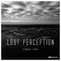 Lost Perception