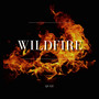 Wildfire