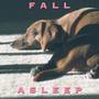 Fall Asleep Music Playlist