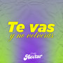 Te Vas y No Volverás
