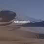 Phenomenon (Original Mix)