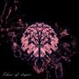 Echoes of Despair (Explicit)