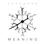 meaning (Explicit)