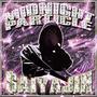 Midnight Particle