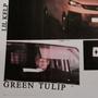 green tulip (Explicit)