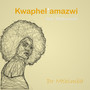 Kwaphel'amazwi