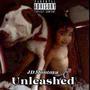 Unleashed (Explicit)