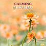 #20 Calming Alpha Beats