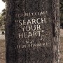 Search Your Heart