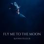 Fly Me To The Moon