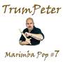 Marimba Pop #7