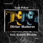 Divine Madness