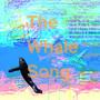 The Whale Song