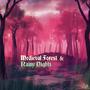 Medieval Forest & Rainy Nights