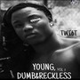 Young, Dumb and Reckless, Vol. 1 (Explicit)