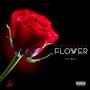 Concrete Flower (Explicit)