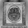 Kleinhirn Im Grossformat