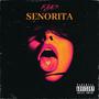 SEÑORITA (Explicit)