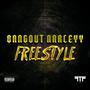 Freestyle (Explicit)