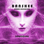 Banshee (Bizarre Succour Mix)