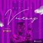 Best of Vict0ny