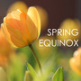 Spring Equinox - Best Natural Sounds Collection for Spiritual Healing and Awakening