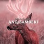 Angibambeki (Radio Edit)