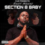 SECTION 8 BABY (Explicit)