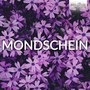 Mondschein