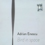 Bird in space