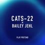 Play Pretend (feat. Bailey Jehl)