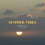 Summer Vibes (feat. Chrissy B & Lil Nawo) [Explicit]