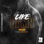 Like Damn (feat. Kash Tha New Hippie) [Explicit]