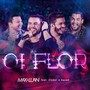 Oi Flor (Ao Vivo)