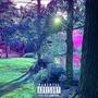 In The Woods (Explicit)