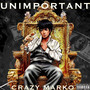 Unimportant (Explicit)