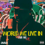 World We Live In (Explicit)