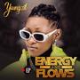 Energy and Flows EP (Explicit)