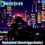 Unchanted (Novatrippa Remix) (feat. Novatrippa)